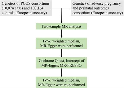 Causal relationships exist between polycystic ovary syndrome and adverse pregnancy and perinatal outcomes: a Mendelian randomization study